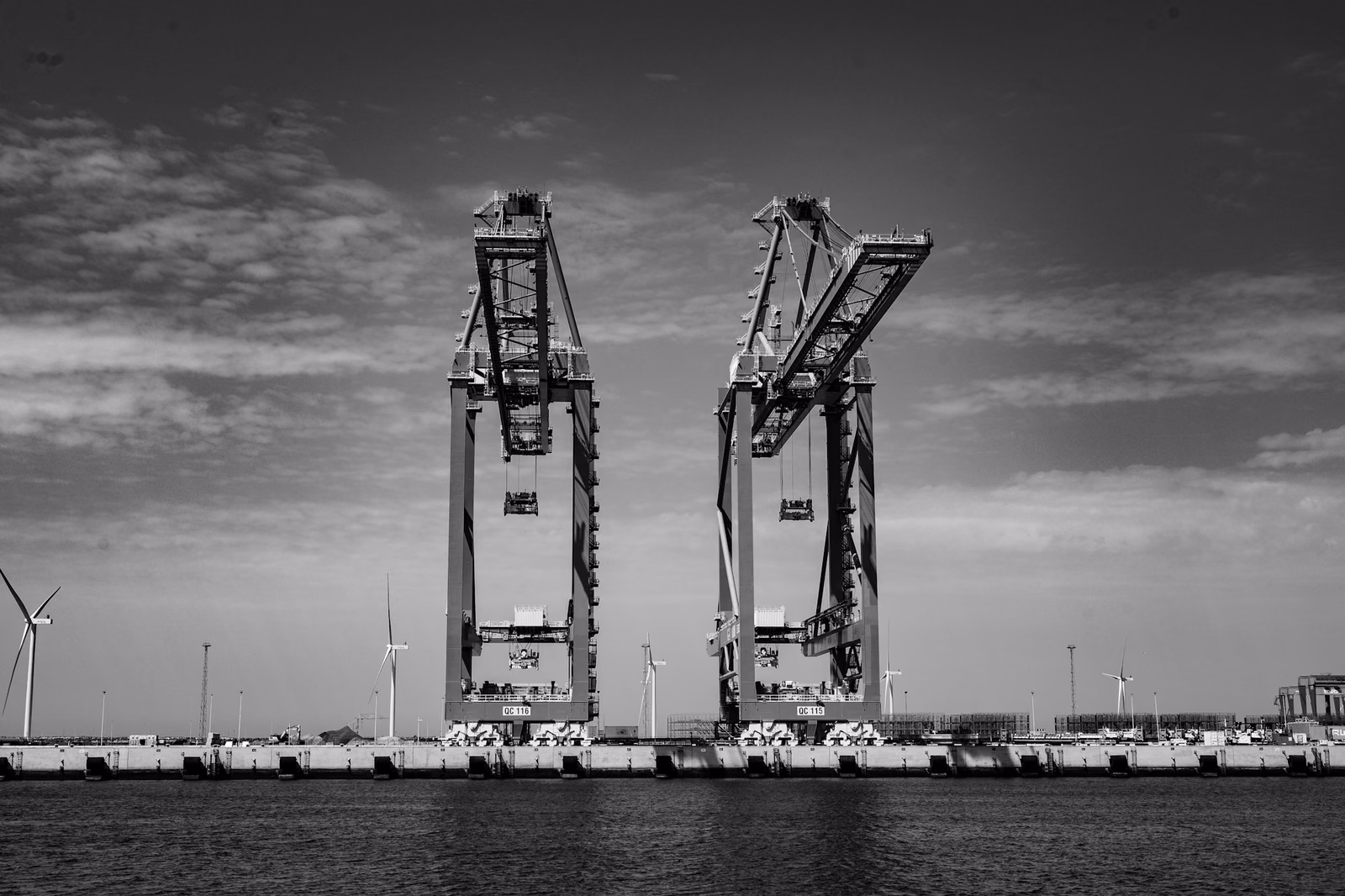 Port cranes at a container terminal